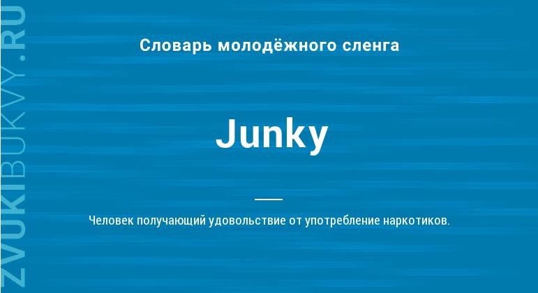 Значение слова Junky