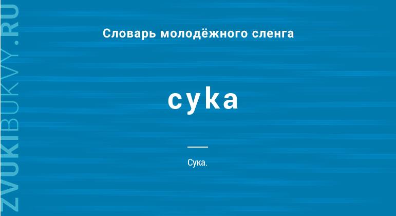 Значение слова Cyka